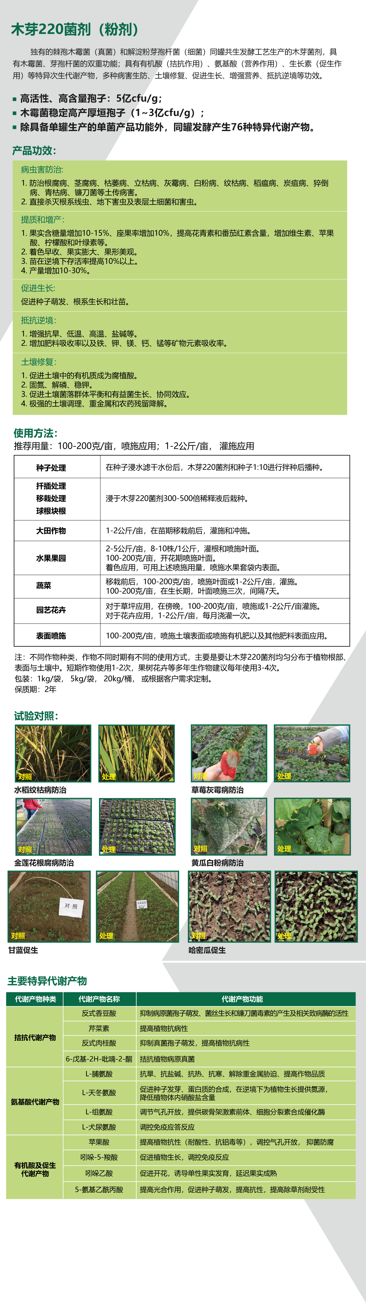 220中文.png